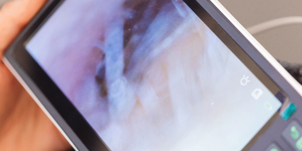 Clean and Dry Regularly